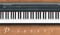 Yamaha P Series